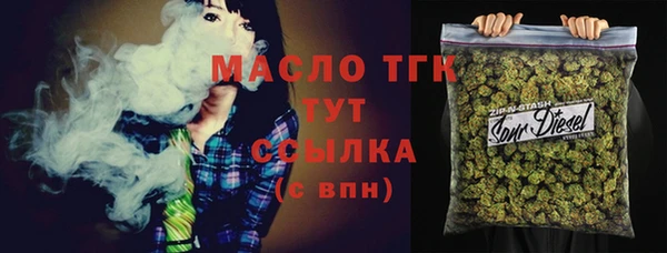 твердый Богородицк